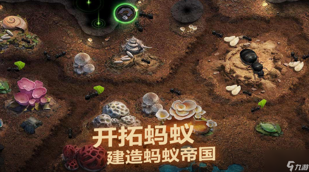 小小蚁国最强阵容搭配-最新蚂蚁阵容搭配