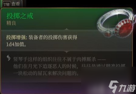 《博德之门3》装备与特别物品收集攻略