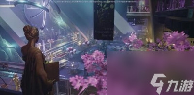 《星空》浪漫好感度提升方法一览