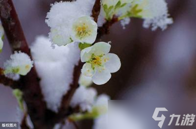 神途手游：晚春特辑推荐