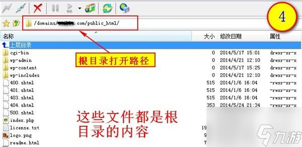 根目录是哪个文件夹