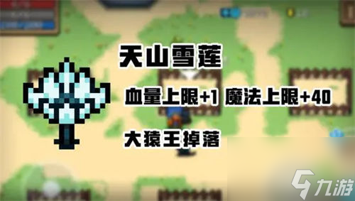 元气骑士天山雪莲怎么获得 元气骑士天山雪莲的作用与功效