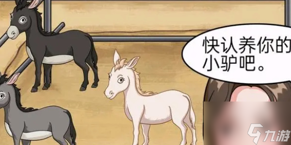 就挺秃然的认养一头驴怎么通关-认养一头驴通关攻略