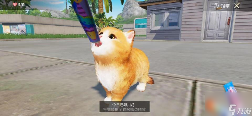 和平精英在哪领养猫？