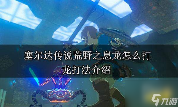 塞尔达传说荒野之息龙的打法及技巧介绍