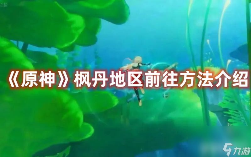 《<a id='link_pop' class='keyword-tag' href='https://www.9game.cn/yuanshen/'>原神</a>》枫丹地区如何前往 丹地区前往技巧详解