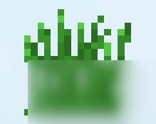 《我的世界》草丛植物图鉴介绍