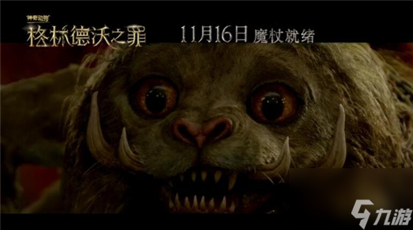 神奇动物2"探寻动物"预告中国神兽秒变呆萌猫咪