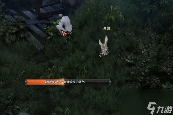 命运方舟追忆岛摩可可位置在哪-命运方舟追忆岛摩可可位置介绍