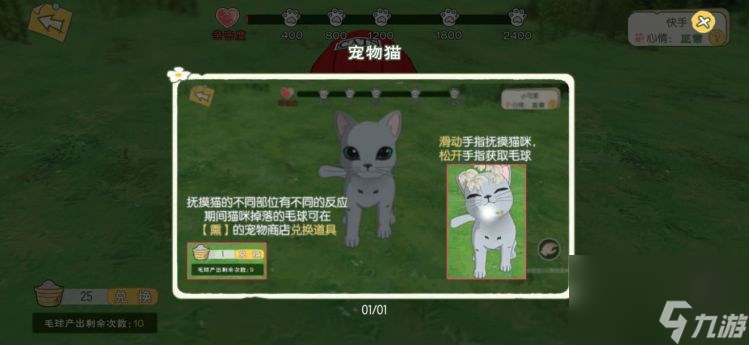 小森生活猫咪怎么领养猫咪培养技巧攻略