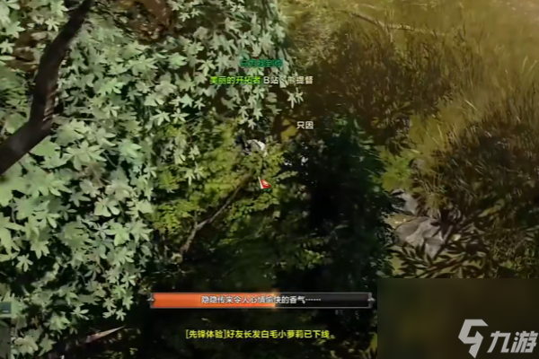 命运方舟艾弗格雷斯的巢穴摩可可在哪