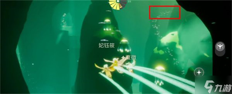 光遇雨林小金人位置攻略