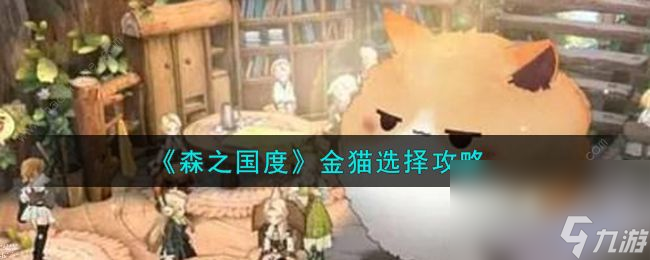 森之国度金猫哪个好