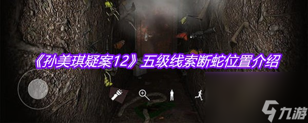 《孫美琪疑案12》五級(jí)線索斷蛇位置介紹