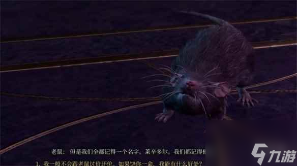 《博德之门3》老鼠位置介绍