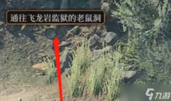 博德之门3不寻常的头骨谜语该怎么获取