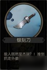 月圆之夜日记本有啥用