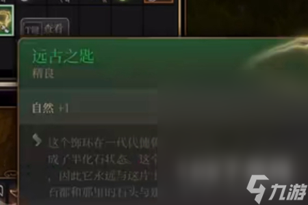 博德之门3闲庭图书馆地下室开启攻略