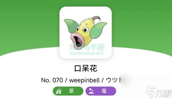 宝可梦朱紫口呆花在哪里