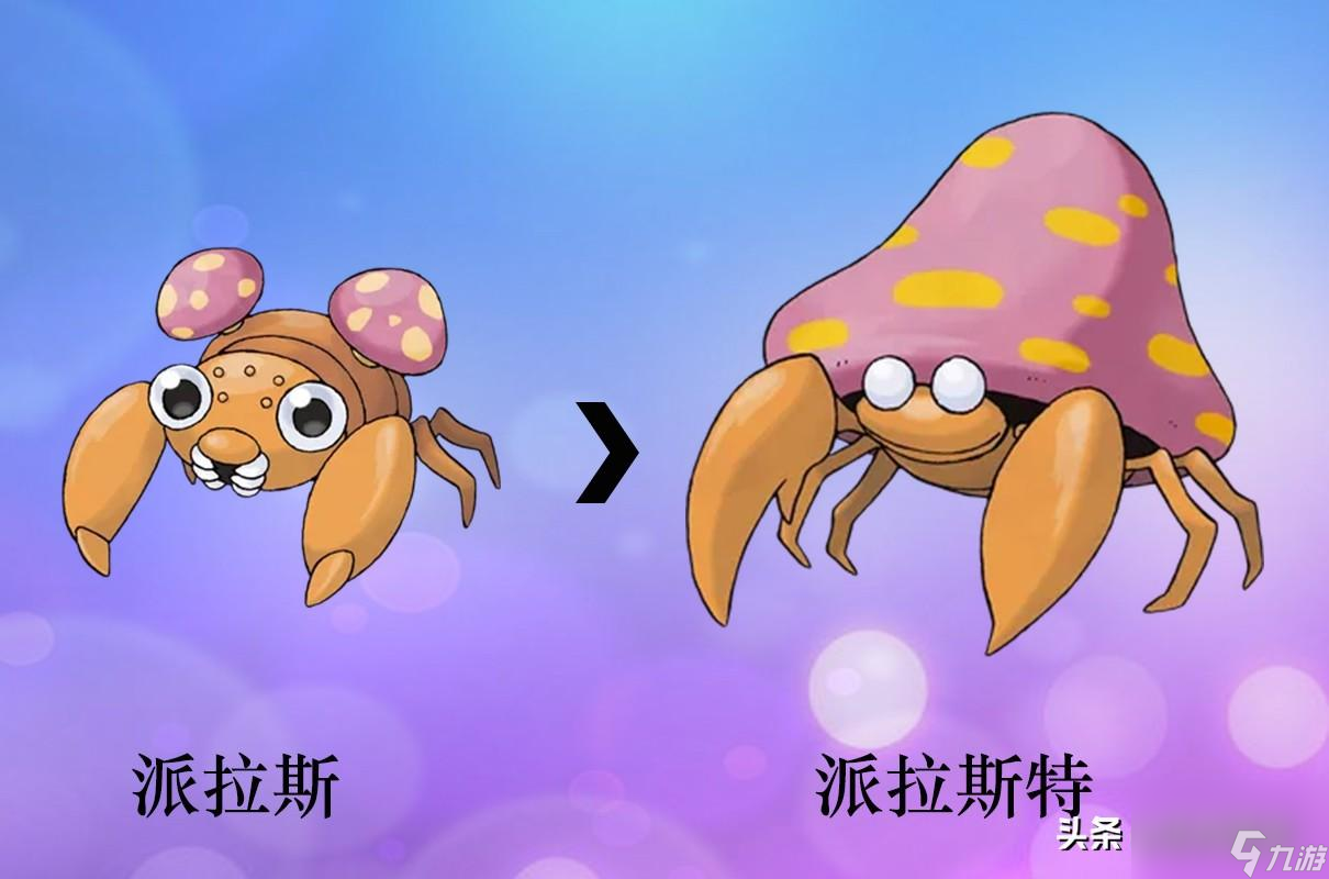 宝可梦全形态图片分享（宝可梦精灵进化图鉴）