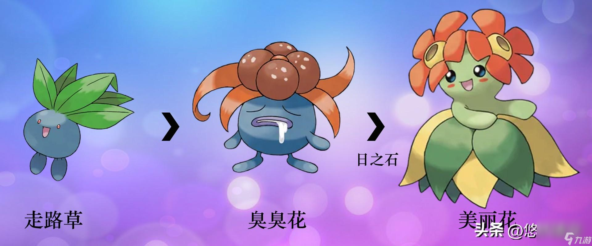 宝可梦全形态图片分享（宝可梦精灵进化图鉴）