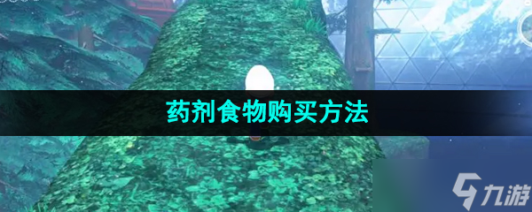 《森之国度手游》药剂食物购买方法