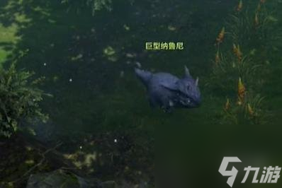 《命运方舟》纳鲁尼岛之心获得攻略