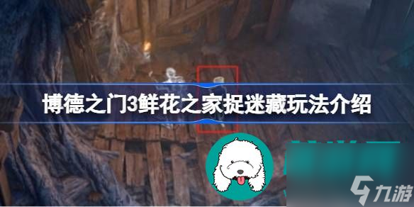 博德之門3鮮花之家捉迷藏玩法詳細(xì)介紹-博德之門3鮮花之家捉迷藏玩法一覽