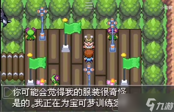 口袋妖怪紫光图文通关攻略 宝可梦紫光汉化版怎么玩