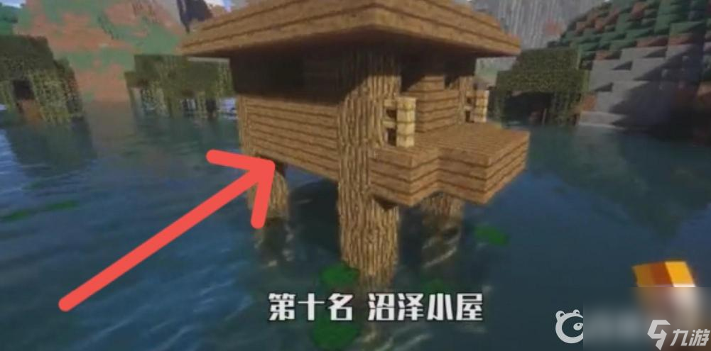 我的世界最罕见的十二个地方在哪？ （化石）