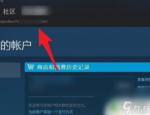 数字id steam 怎么查看steam账号的17位数字id