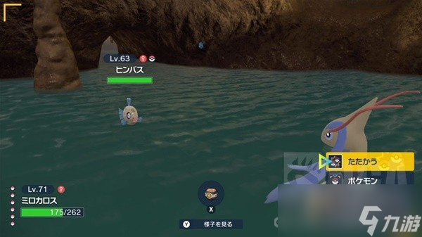 《宝可梦朱紫》碧之假面丑丑鱼捕获位置介绍