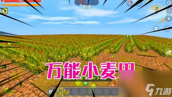 迷你世界麦子要种在水边多少？迷你世界麦子为什么长不高