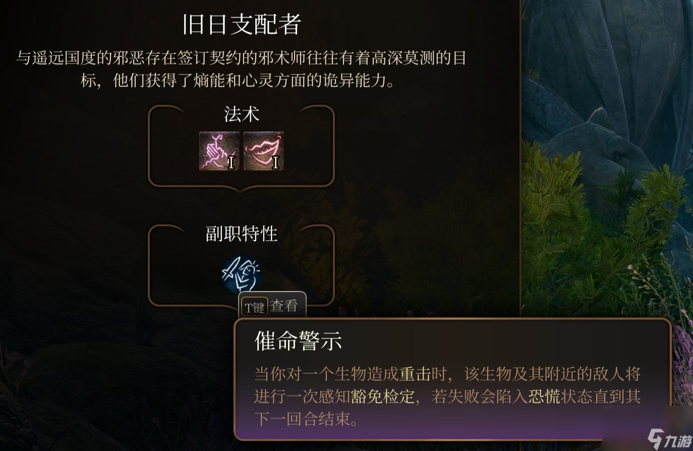 博德之门3 全职业介绍