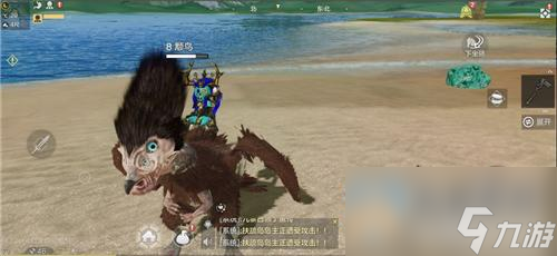 妄想山海颙鸟怎么捕捉