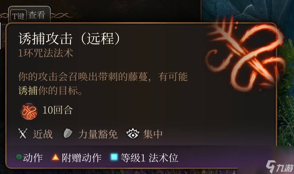 博德之门3 全职业介绍