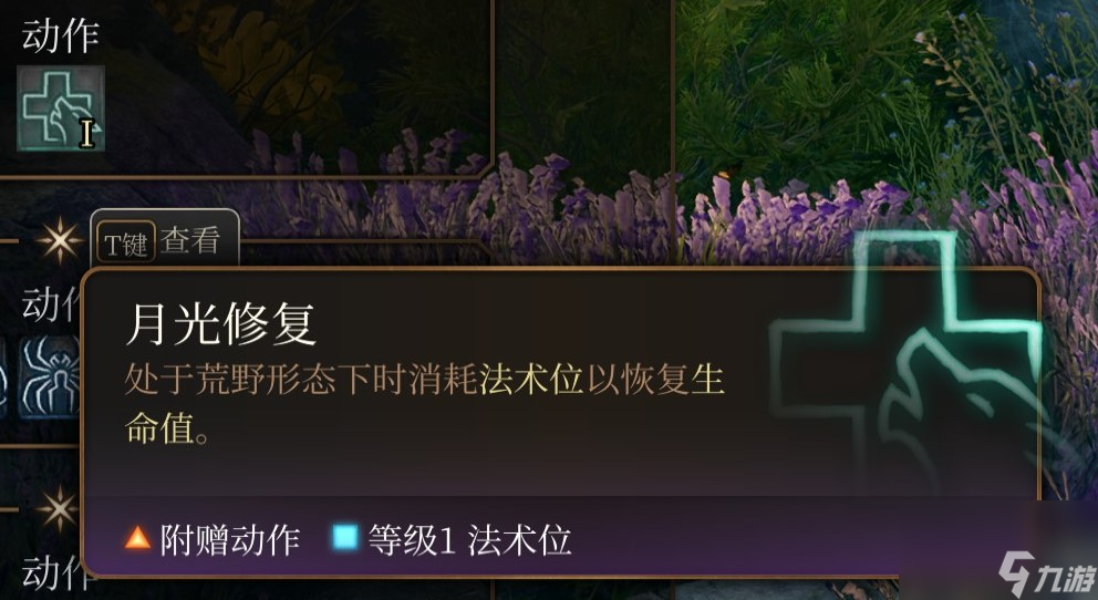 博德之门3 全职业介绍