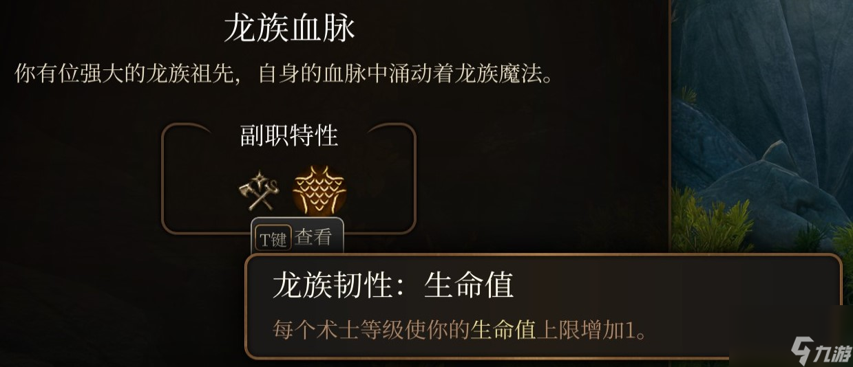 博德之门3 全职业介绍