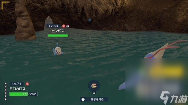 《宝可梦朱紫》碧之假面丑丑鱼捕获位置一览