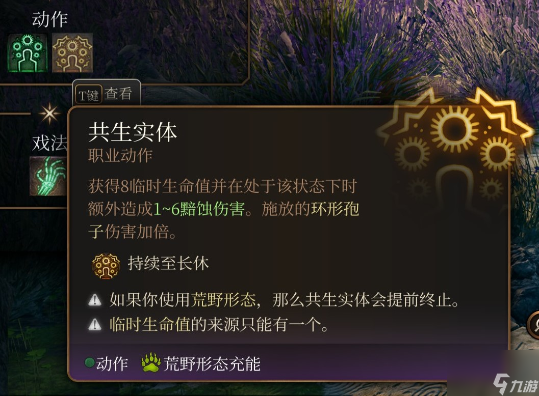 博德之门3 全职业介绍