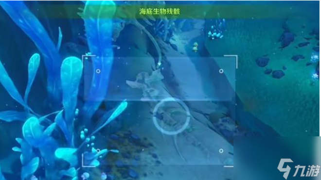 原神水下沉物位置在哪里-水下沉物位置一览