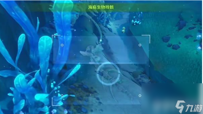 《原神》枫丹特有飞禽在什么位置 枫丹特有飞禽位置一览