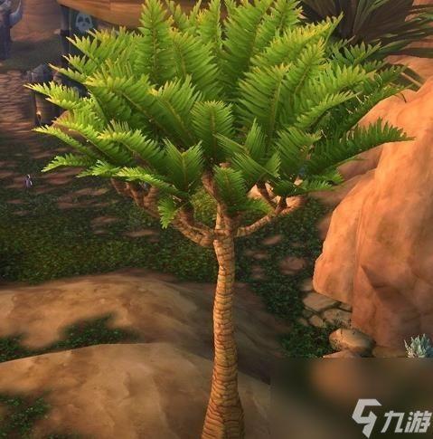 艾维娜之羽如何获取（魔兽世界三个逃跑神器怎么获得）