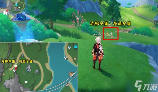《原神》4.0光影研学活动第四关满奖励攻略