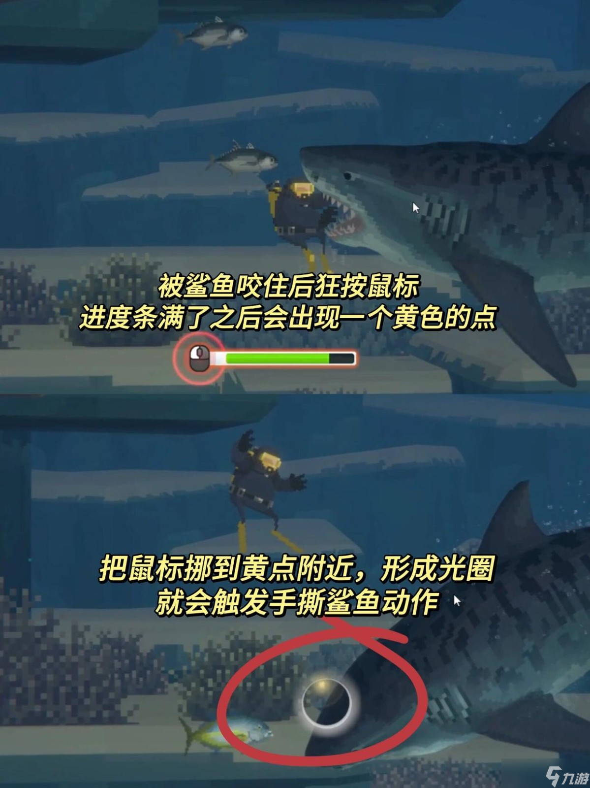 《潜水员戴夫》游戏技巧概述