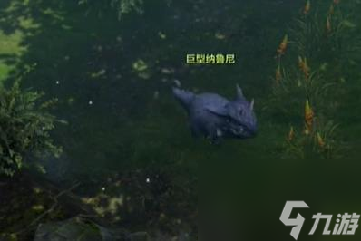 命运方舟纳鲁尼岛之心怎么获得 命运方舟纳鲁尼岛之心获取攻略