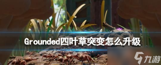 禁闭求生四叶草强运怎么获得 四叶草强运解锁方法