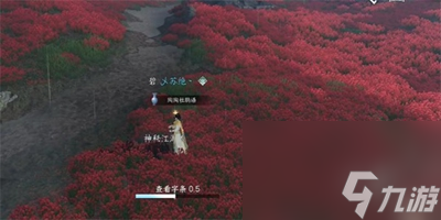 逆水寒手游童心寻趣任务在哪接取