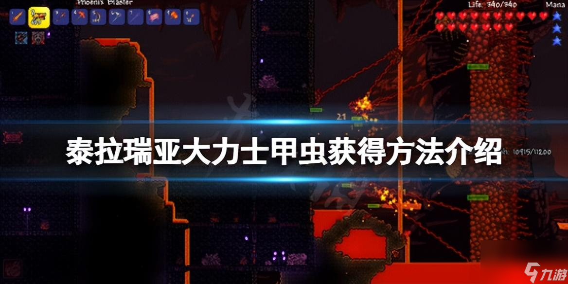 泰拉瑞亚大力士甲虫怎么获取手机版