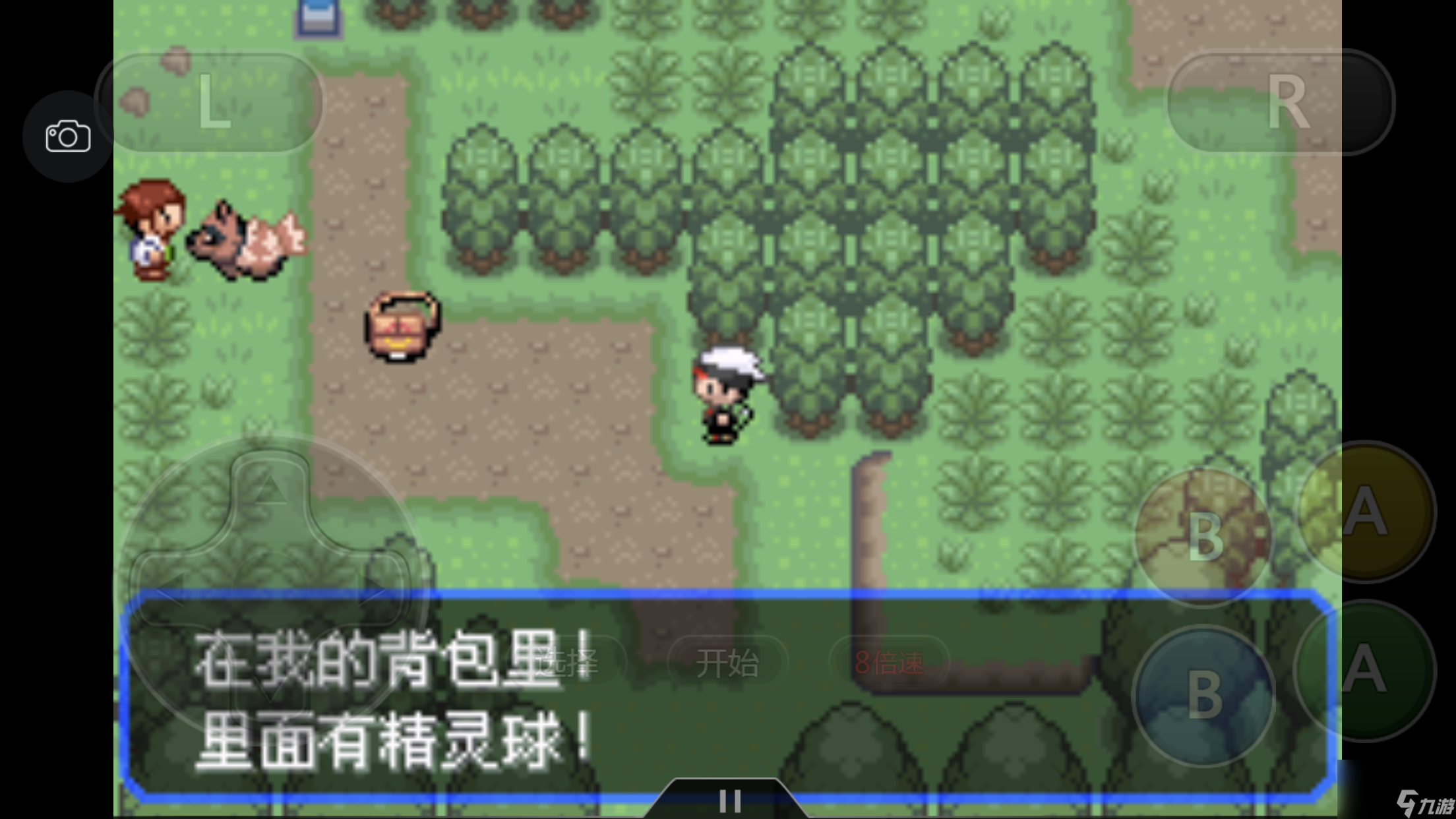 《口袋妖怪之究极绿宝石4》新手指南（口袋妖怪绿宝石版本游戏攻略）